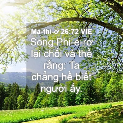 Picture 04 - Ma-thi-ơ 26:72 VIE - Song Phi-e-rơ lại chối và thề rằng: Ta - Bible Verse Picture