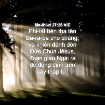 Picture 04 - Ma-thi-ơ 27:26 VIE - Phi-lát bèn tha tên Ba-ra-ba cho chúng; và - Bible Verse Picture
