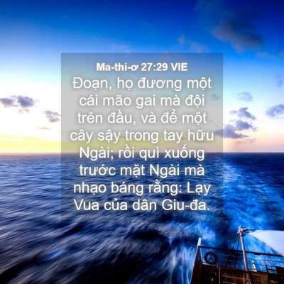 Picture 04 - Ma-thi-ơ 27:29 VIE - Đoạn, họ đương một cái mão gai mà - Bible Verse Picture