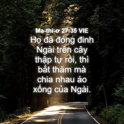 Picture 04 - Ma-thi-ơ 27:35 VIE - Họ đã đóng đinh Ngài trên cây thập - Bible Verse Picture