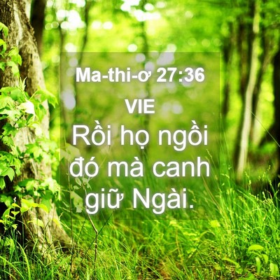Picture 04 - Ma-thi-ơ 27:36 VIE - Rồi họ ngồi đó mà canh giữ - Bible Verse Picture