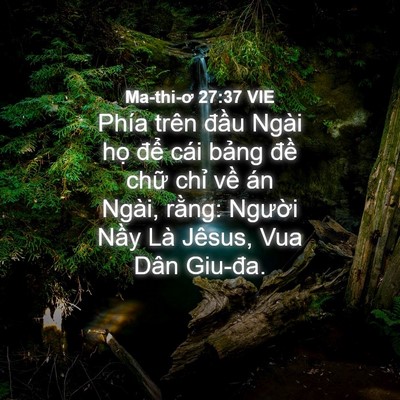 Picture 04 - Ma-thi-ơ 27:37 VIE - Phía trên đầu Ngài họ để cái bảng - Bible Verse Picture