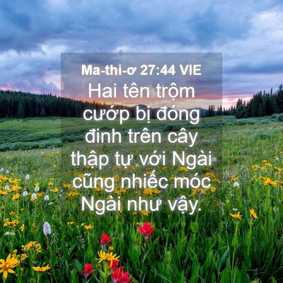 Picture 04 - Ma-thi-ơ 27:44 VIE - Hai tên trộm cướp bị đóng đinh trên - Bible Verse Picture