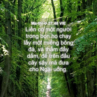 Picture 04 - Ma-thi-ơ 27:48 VIE - Liền có một người trong bọn họ chạy - Bible Verse Picture