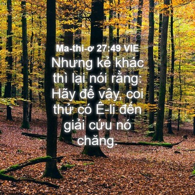 Picture 04 - Ma-thi-ơ 27:49 VIE - Nhưng kẻ khác thì lại nói rằng: Hãy - Bible Verse Picture