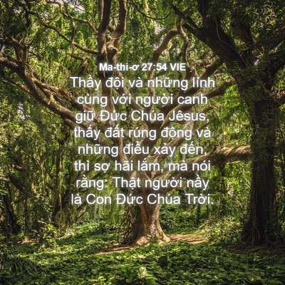 Picture 04 - Ma-thi-ơ 27:54 VIE - Thầy đội và những lính cùng với - Bible Verse Picture