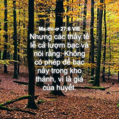 Picture 04 - Ma-thi-ơ 27:6 VIE - Nhưng các thầy tế lễ cả lượm bạc - Bible Verse Picture