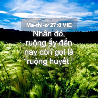 Picture 04 - Ma-thi-ơ 27:8 VIE - Nhân đó, ruộng ấy đến nay còn gọi - Bible Verse Picture