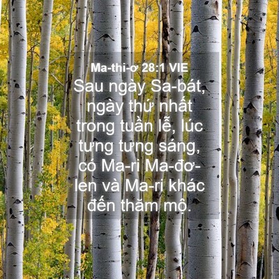 Picture 04 - Ma-thi-ơ 28:1 VIE - Sau ngày Sa-bát, ngày thứ nhất trong - Bible Verse Picture