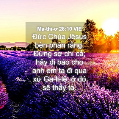 Picture 04 - Ma-thi-ơ 28:10 VIE - Đức Chúa Jêsus bèn phán rằng: Đừng - Bible Verse Picture
