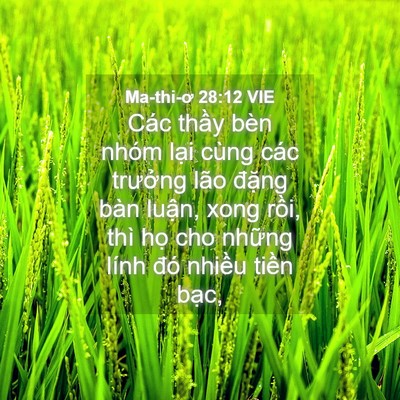 Picture 04 - Ma-thi-ơ 28:12 VIE - Các thầy bèn nhóm lại cùng các trưởng - Bible Verse Picture