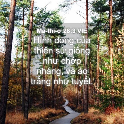 Picture 04 - Ma-thi-ơ 28:3 VIE - Hình dong của thiên sứ giống như chớp - Bible Verse Picture