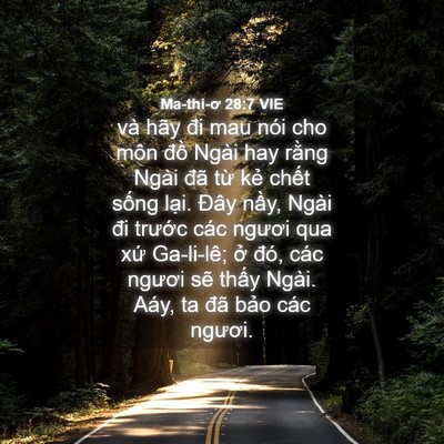 Picture 04 - Ma-thi-ơ 28:7 VIE - và hãy đi mau nói cho môn đồ Ngài hay - Bible Verse Picture