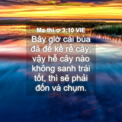 Picture 04 - Ma-thi-ơ 3:10 VIE - Bây giờ cái búa đã để kề rễ cây; - Bible Verse Picture