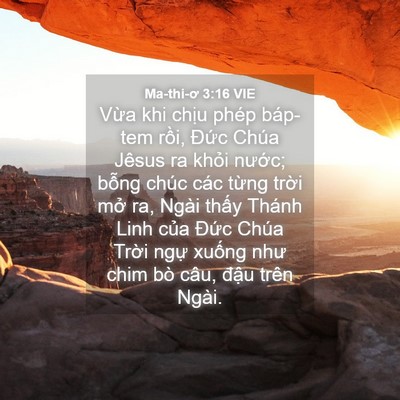 Picture 04 - Ma-thi-ơ 3:16 VIE - Vừa khi chịu phép báp-tem rồi, Đức - Bible Verse Picture