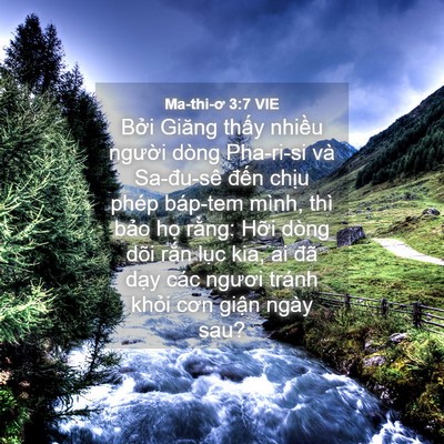 Picture 04 - Ma-thi-ơ 3:7 VIE - Bởi Giăng thấy nhiều người dòng - Bible Verse Picture