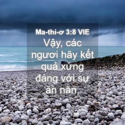 Picture 04 - Ma-thi-ơ 3:8 VIE - Vậy, các ngươi hãy kết quả xứng - Bible Verse Picture