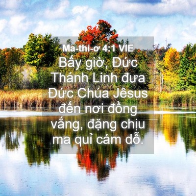 Picture 04 - Ma-thi-ơ 4:1 VIE - Bấy giờ, Đức Thánh Linh đưa Đức - Bible Verse Picture