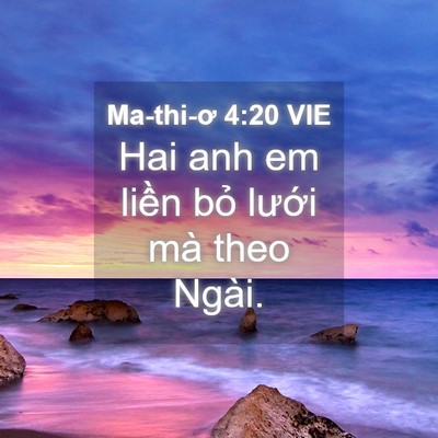 Picture 04 - Ma-thi-ơ 4:20 VIE - Hai anh em liền bỏ lưới mà theo - Bible Verse Picture