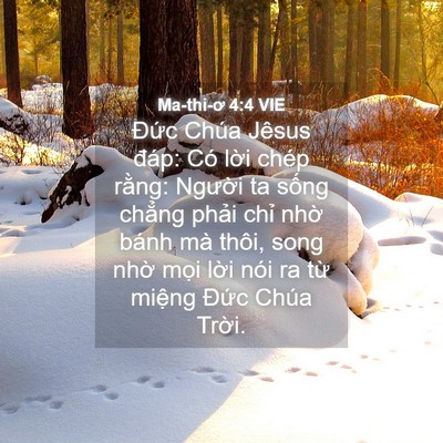 Picture 04 - Ma-thi-ơ 4:4 VIE - Đức Chúa Jêsus đáp: Có lời chép - Bible Verse Picture