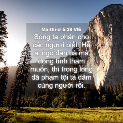 Picture 04 - Ma-thi-ơ 5:28 VIE - Song ta phán cho các ngươi biết: Hễ ai - Bible Verse Picture