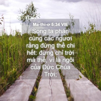Picture 04 - Ma-thi-ơ 5:34 VIE - Song ta phán cùng các ngươi rằng đừng - Bible Verse Picture
