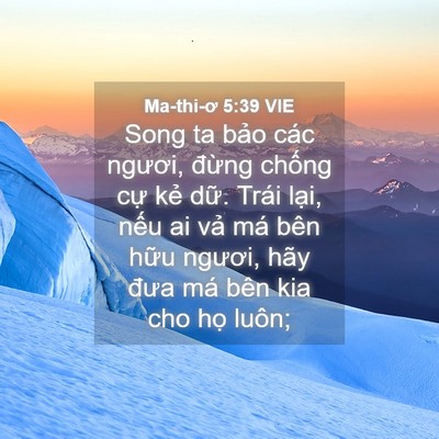 Picture 04 - Ma-thi-ơ 5:39 VIE - Song ta bảo các ngươi, đừng chống cự - Bible Verse Picture