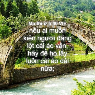Picture 04 - Ma-thi-ơ 5:40 VIE - nếu ai muốn kiện ngươi đặng lột cái - Bible Verse Picture