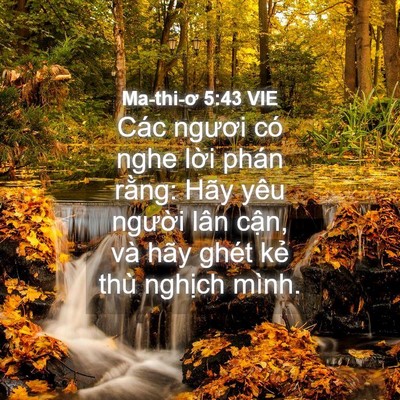 Picture 04 - Ma-thi-ơ 5:43 VIE - Các ngươi có nghe lời phán rằng: Hãy - Bible Verse Picture