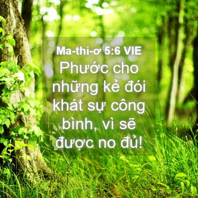 Picture 04 - Ma-thi-ơ 5:6 VIE - Phước cho những kẻ đói khát sự công - Bible Verse Picture