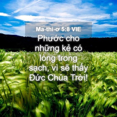 Picture 04 - Ma-thi-ơ 5:8 VIE - Phước cho những kẻ có lòng trong sạch, - Bible Verse Picture