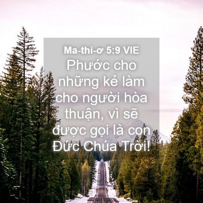 Picture 04 - Ma-thi-ơ 5:9 VIE - Phước cho những kẻ làm cho người hòa - Bible Verse Picture