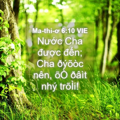 Picture 04 - Ma-thi-ơ 6:10 VIE - Nước Cha được đến; Cha ðýõòc nên, - Bible Verse Picture
