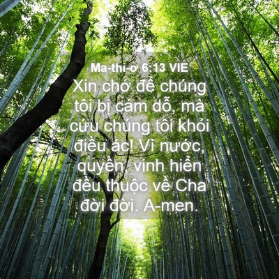 Picture 04 - Ma-thi-ơ 6:13 VIE - Xin chớ để chúng tôi bị cám dỗ, mà - Bible Verse Picture