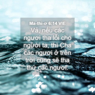 Picture 04 - Ma-thi-ơ 6:14 VIE - Vả, nếu các ngươi tha lỗi cho người - Bible Verse Picture