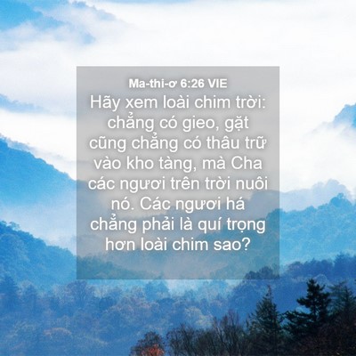 Picture 04 - Ma-thi-ơ 6:26 VIE - Hãy xem loài chim trời: chẳng có gieo, - Bible Verse Picture