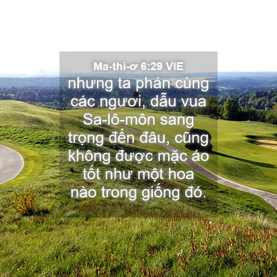 Picture 04 - Ma-thi-ơ 6:29 VIE - nhưng ta phán cùng các ngươi, dẫu vua - Bible Verse Picture
