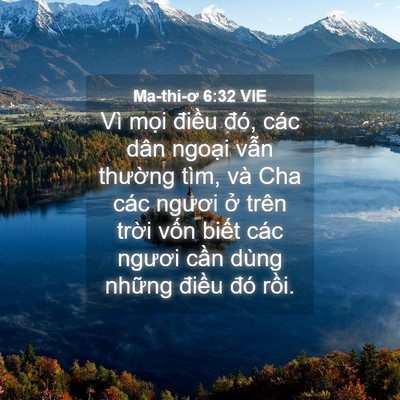 Picture 04 - Ma-thi-ơ 6:32 VIE - Vì mọi điều đó, các dân ngoại vẫn - Bible Verse Picture