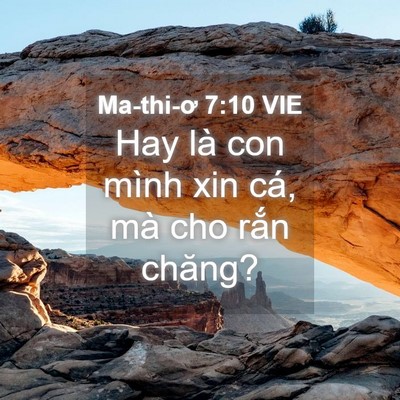 Picture 04 - Ma-thi-ơ 7:10 VIE - Hay là con mình xin cá, mà cho rắn - Bible Verse Picture