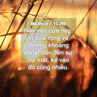 Picture 04 - Ma-thi-ơ 7:13 VIE - Hãy vào cửa hẹp, vì cửa rộng và - Bible Verse Picture