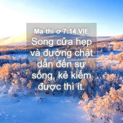 Picture 04 - Ma-thi-ơ 7:14 VIE - Song cửa hẹp và đường chật dẫn - Bible Verse Picture