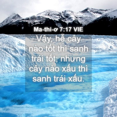 Picture 04 - Ma-thi-ơ 7:17 VIE - Vậy, hễ cây nào tốt thì sanh trái - Bible Verse Picture