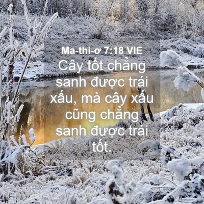 Picture 04 - Ma-thi-ơ 7:18 VIE - Cây tốt chẳng sanh được trái xấu, mà - Bible Verse Picture
