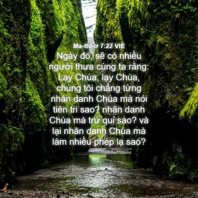 Picture 04 - Ma-thi-ơ 7:22 VIE - Ngày đó, sẽ có nhiều người thưa cùng - Bible Verse Picture
