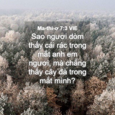 Picture 04 - Ma-thi-ơ 7:3 VIE - Sao ngươi dòm thấy cái rác trong mắt anh - Bible Verse Picture