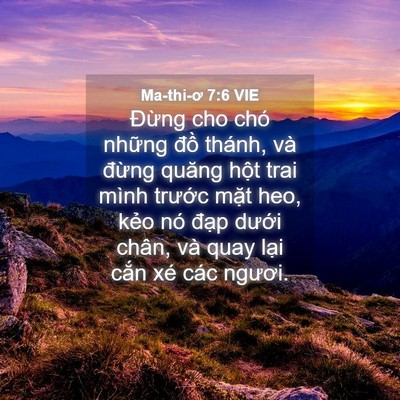 Picture 04 - Ma-thi-ơ 7:6 VIE - Đừng cho chó những đồ thánh, và - Bible Verse Picture