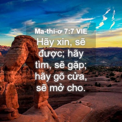 Picture 04 - Ma-thi-ơ 7:7 VIE - Hãy xin, sẽ được; hãy tìm, sẽ gặp; - Bible Verse Picture