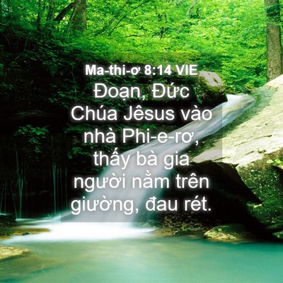 Picture 04 - Ma-thi-ơ 8:14 VIE - Đoạn, Đức Chúa Jêsus vào nhà Phi-e-rơ, - Bible Verse Picture