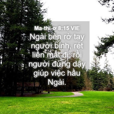 Picture 04 - Ma-thi-ơ 8:15 VIE - Ngài bèn rờ tay người bịnh, rét liền - Bible Verse Picture