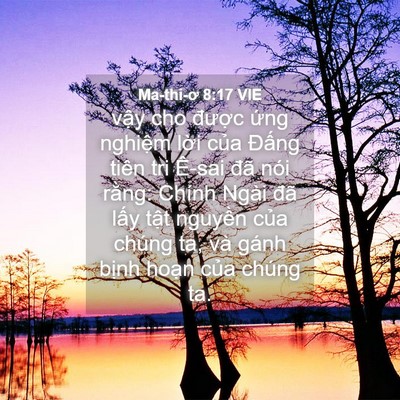 Picture 04 - Ma-thi-ơ 8:17 VIE - vậy cho được ứng nghiệm lời của - Bible Verse Picture